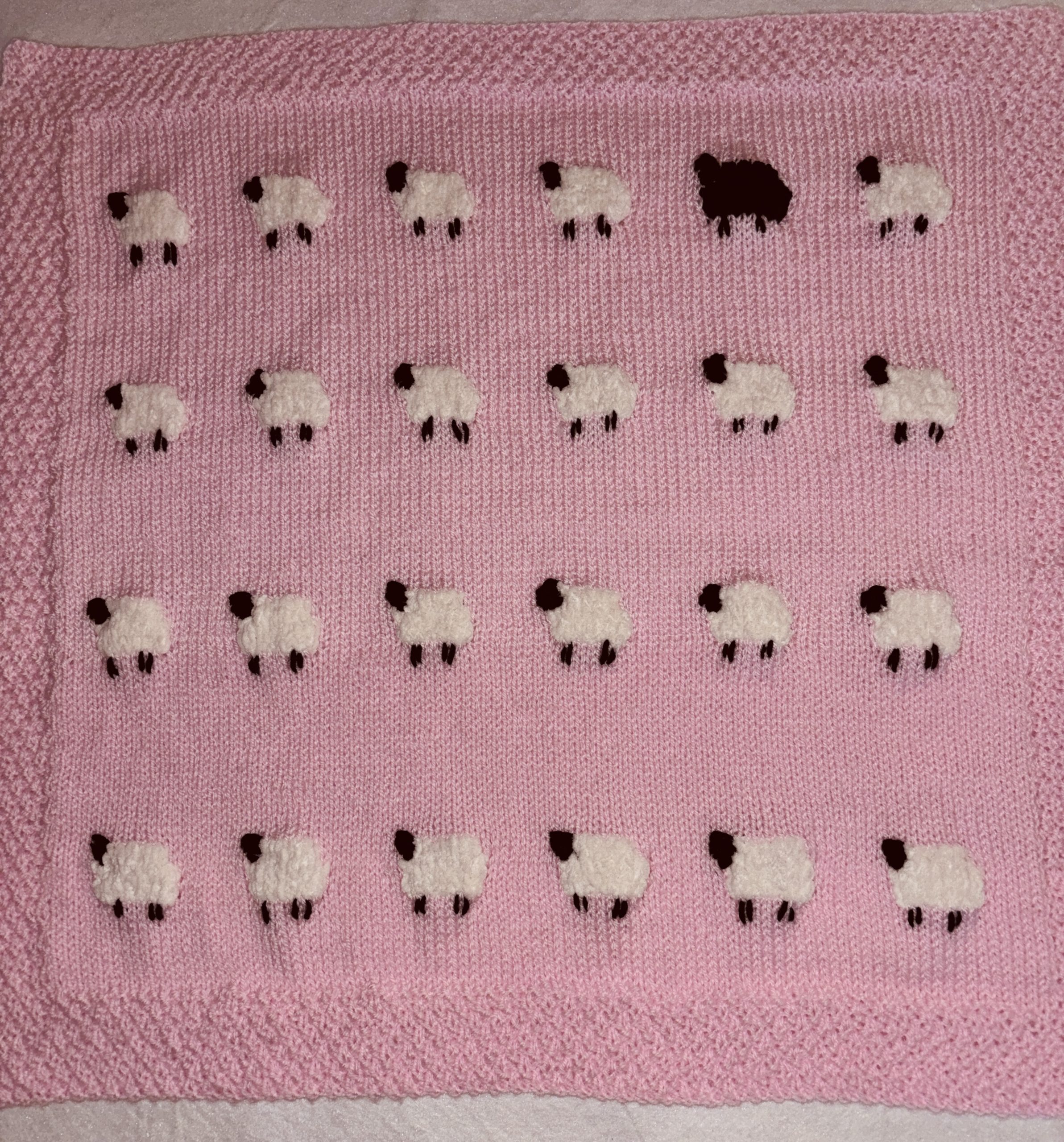 Cutest Sheep Baby Blanket, Pink Background